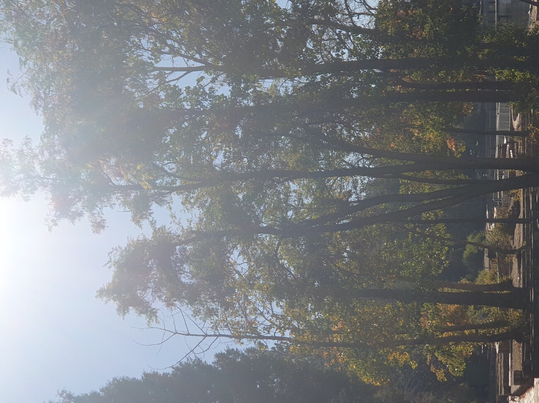 费雷特洛奇酒店主图