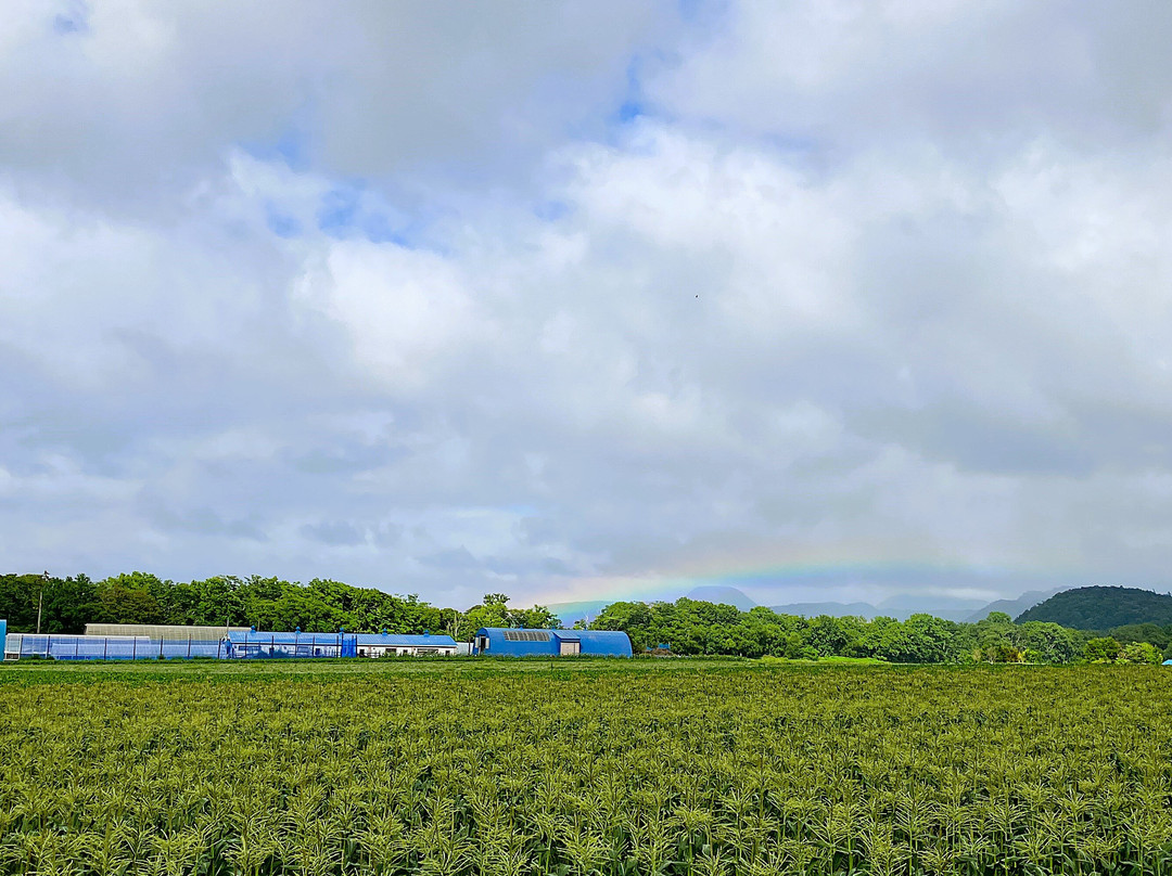 屈斜路湖-弟子屈町必去景点