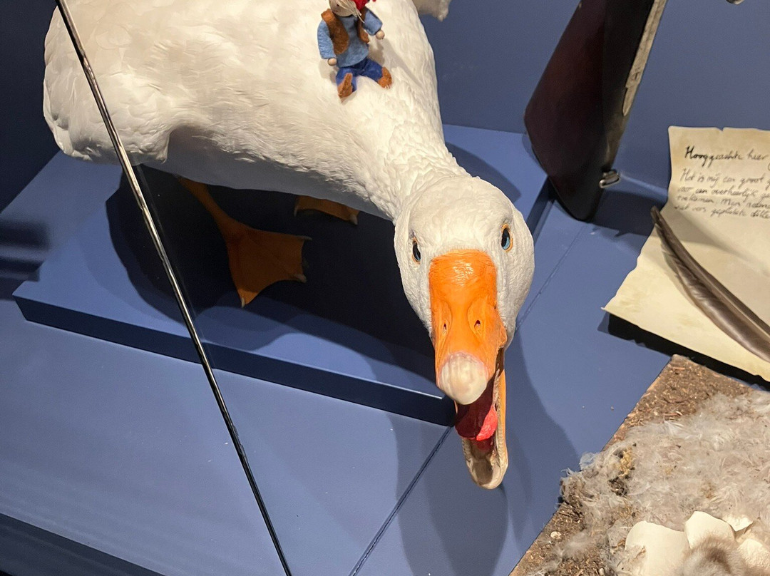 Natuurmuseum Fryslan-吕伐登必去景点