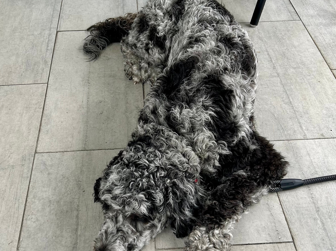 巴利纳家园汽车旅馆主图