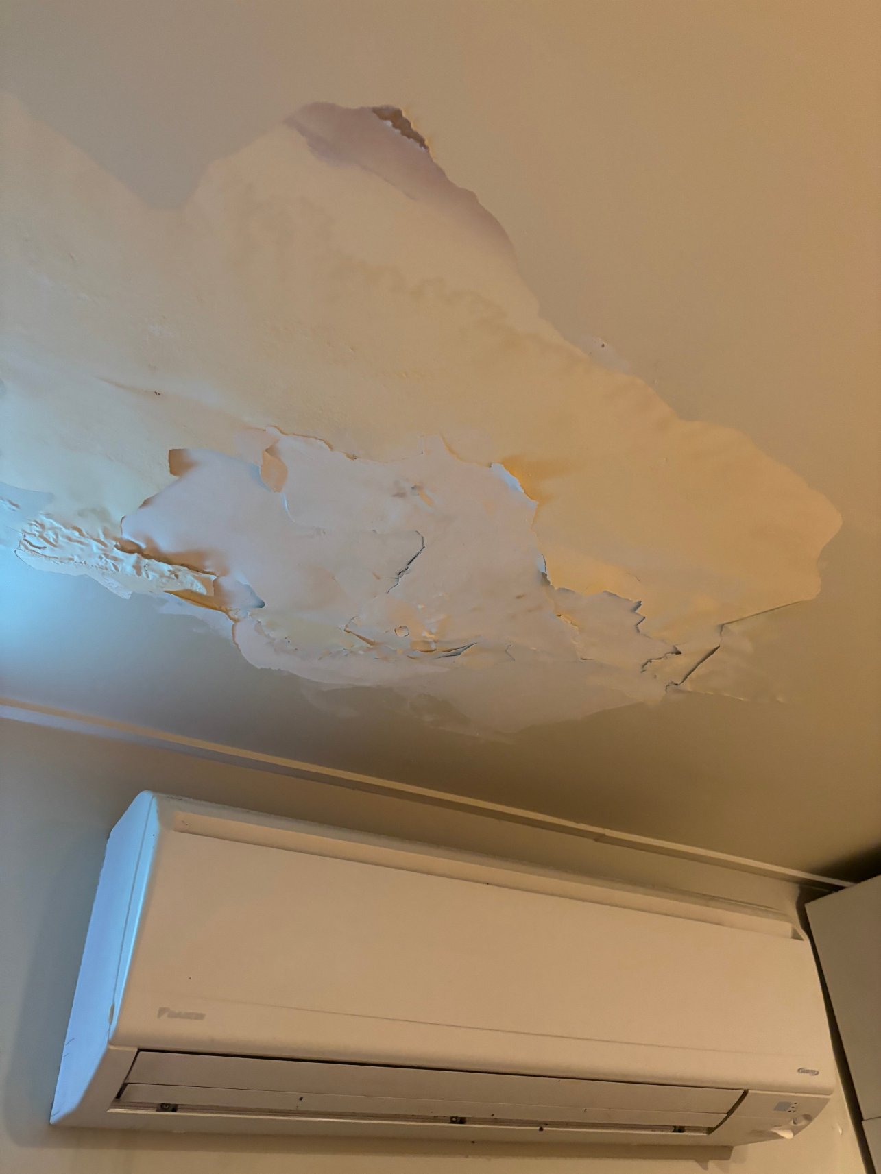 罗默布里斯班酒店 - 前布里斯班赛琳娜旅舍-餐饮