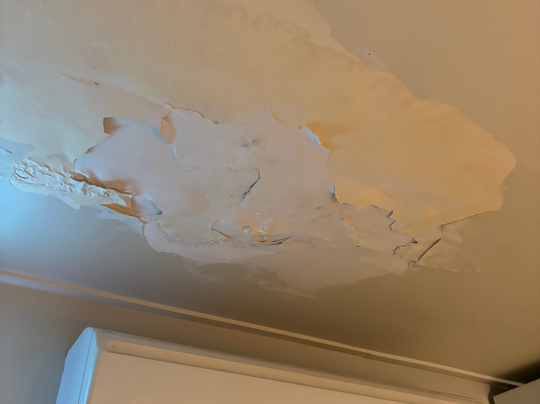 罗默布里斯班酒店 - 前布里斯班赛琳娜旅舍主图