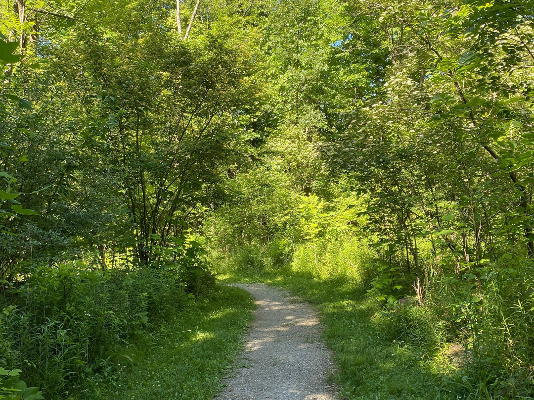 Sheldon Marsh State Nature Preserve-Huron必去景点