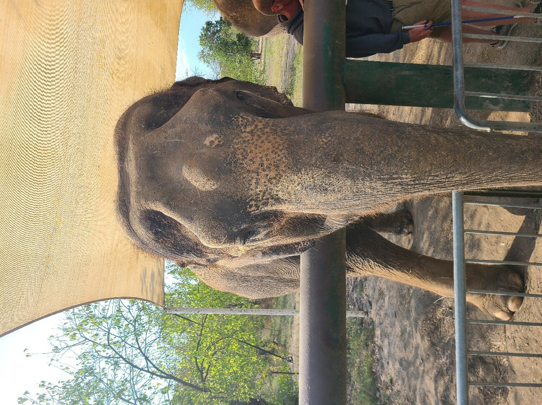 The Endangered Ark Foundation-Hugo必去景点