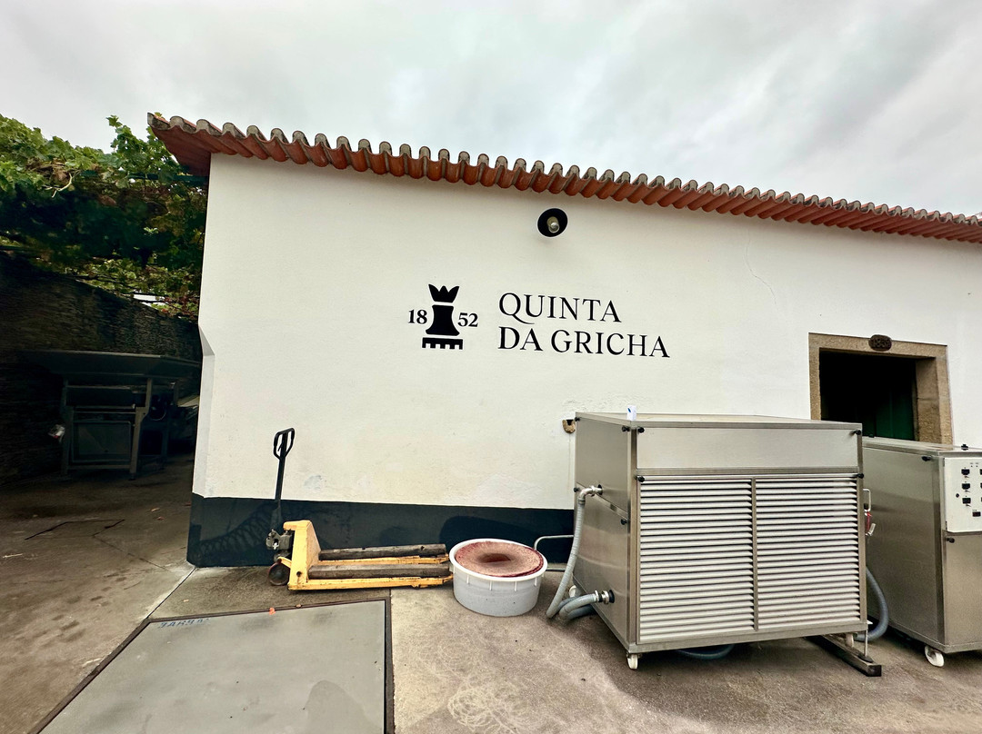 Gricha Vineyard House主图