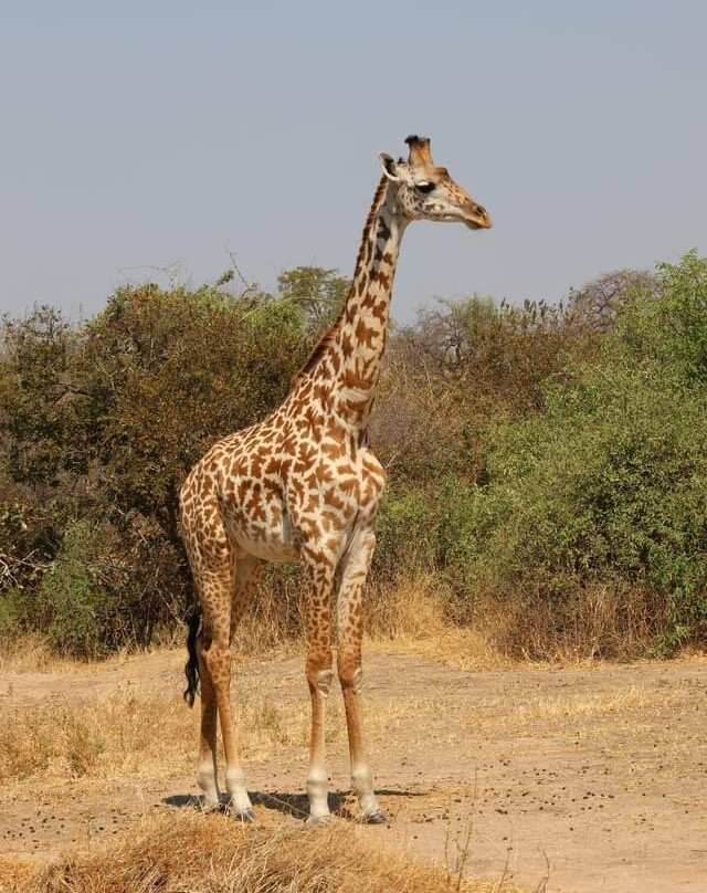 Mukuta Travels & Tours-Iringa必去景点