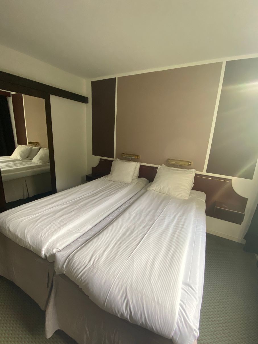 丁吉斯汉酒店-官方