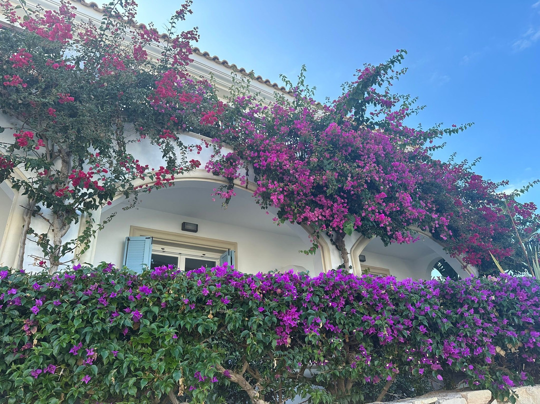 Crete Transport Taxi-伊拉克利翁必去景点