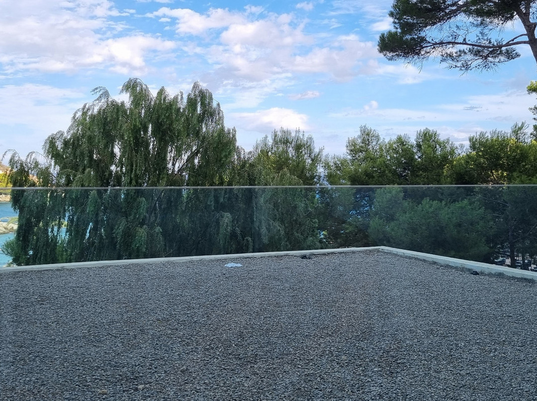 AluaSoul Carolina主图