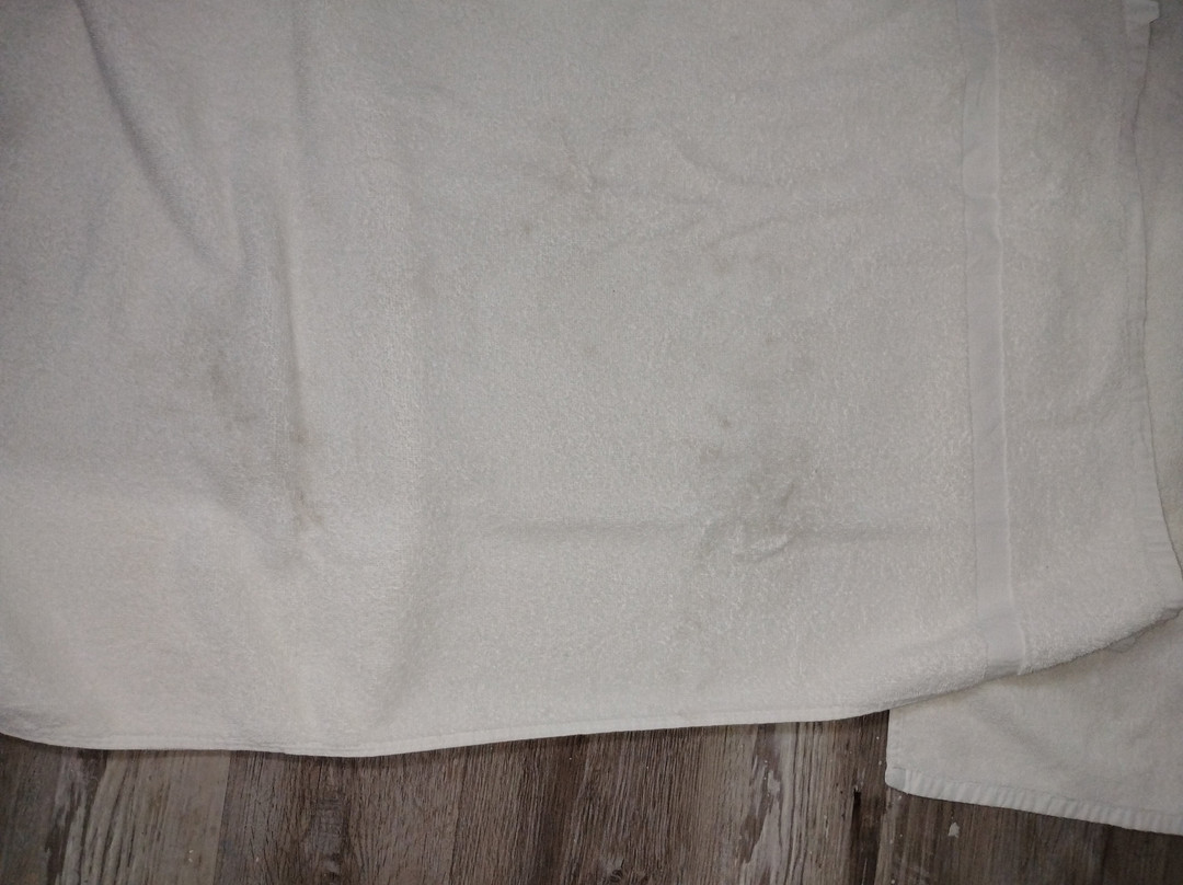 Rodeway Inn Port Richey North主图