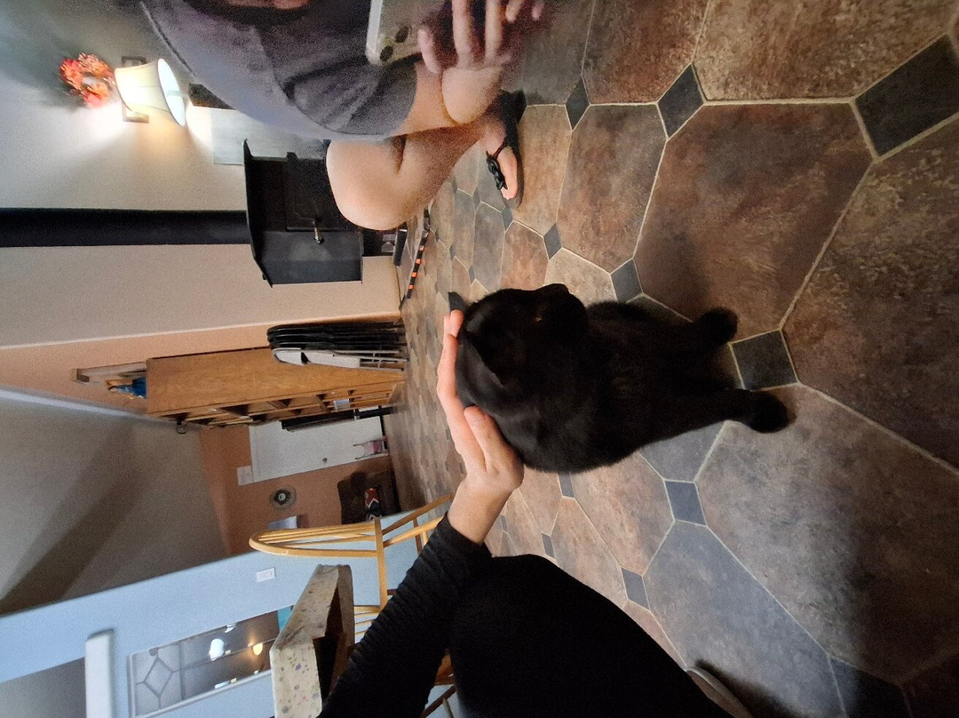 Tear Drop Arch B&B主图