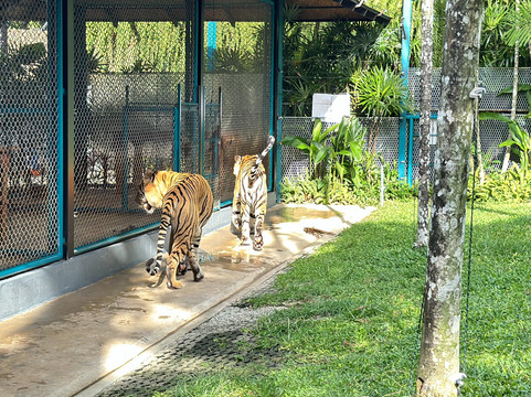 Sightseeing Group-曼谷必去景点