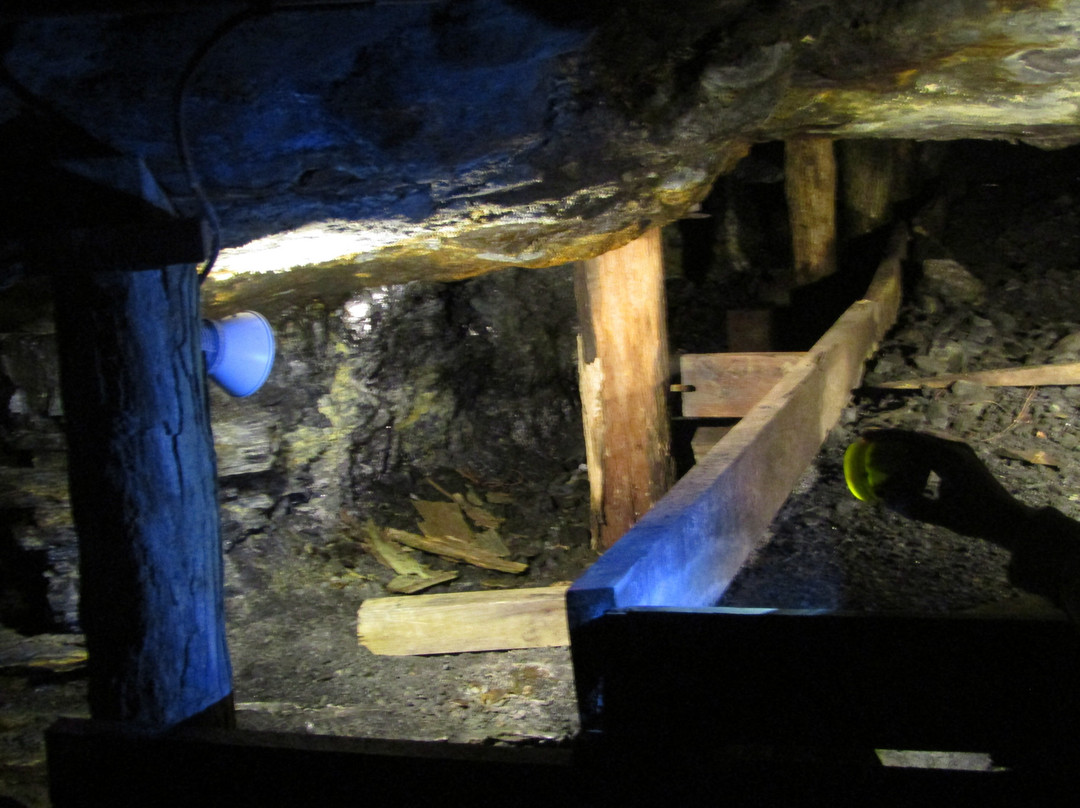 Lackawanna Coal Mine Tour景点图片