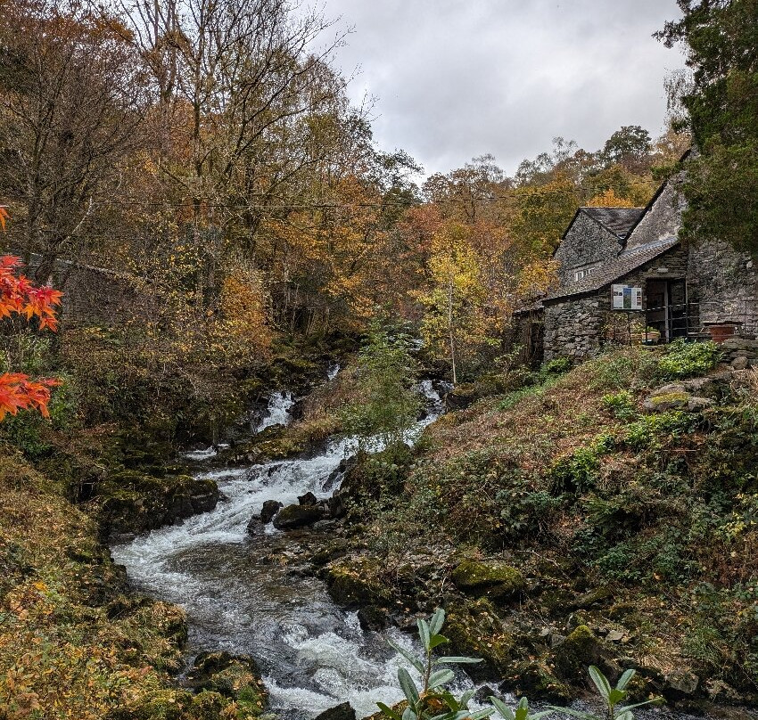 Rydal Hall Sculpture Path景点图片