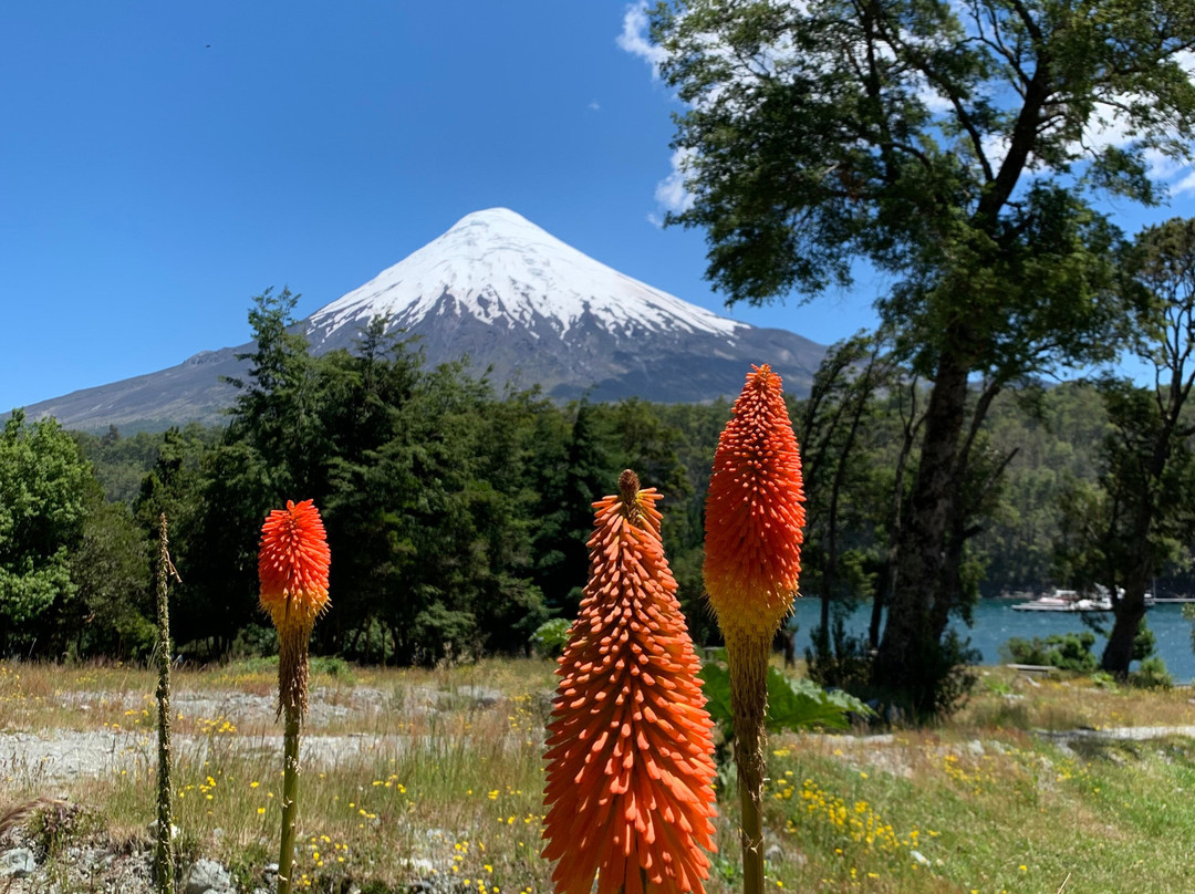 Patagonia Trails-巴拉斯港必去景点