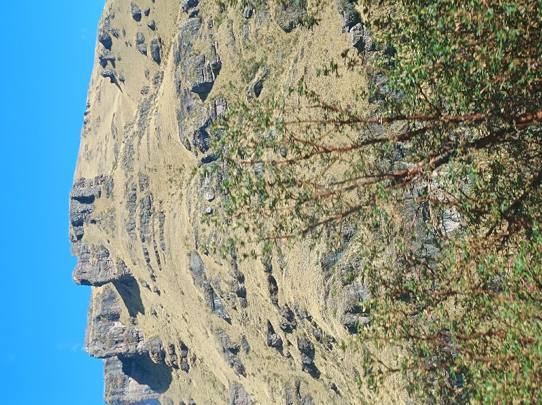 Complejo Arqueologico Waqrapukara-库斯科地区必去景点