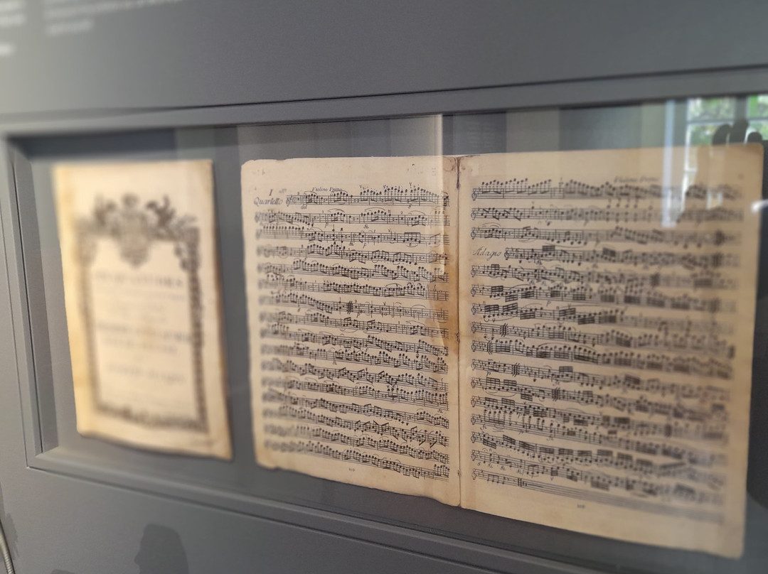 Haydn Geburtshaus景点图片