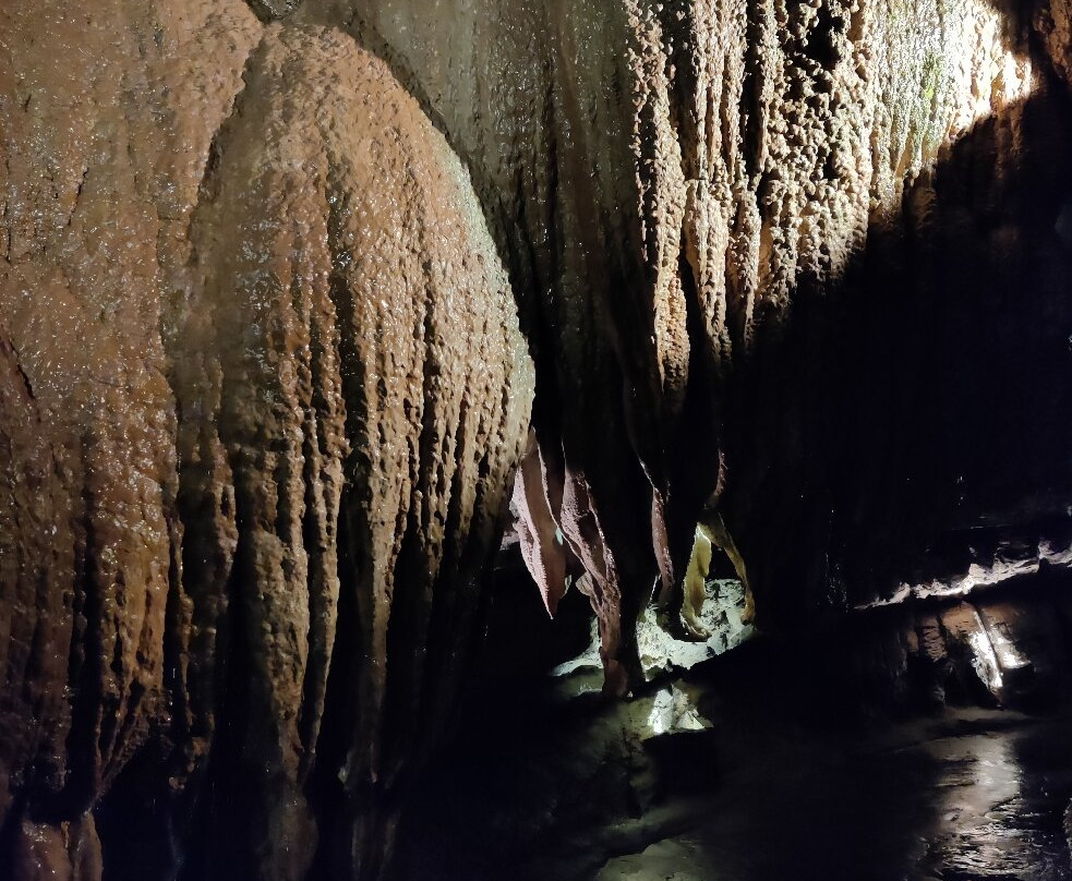 The National Showcaves Centre for Wales景点图片