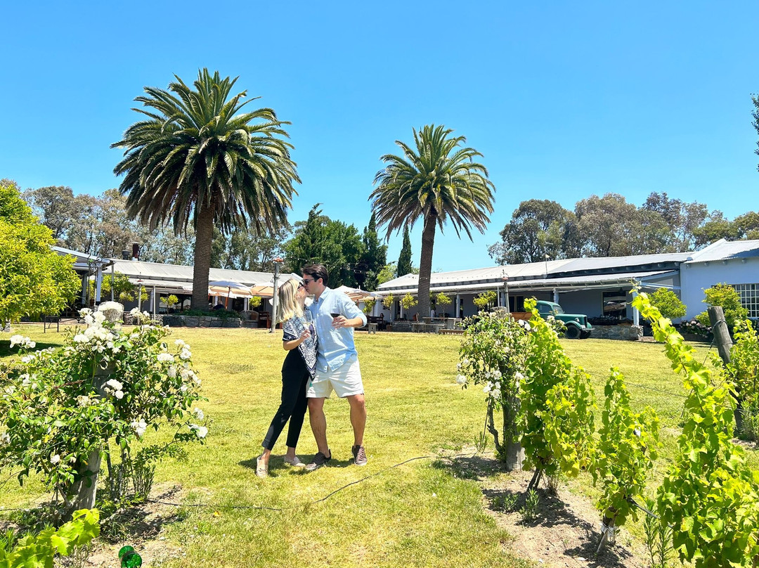 The Wine Experience-Jose Ignacio必去景点