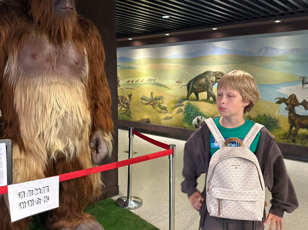 中国古动物馆-北京市必去景点