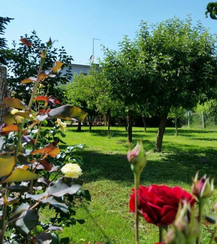 Apartment Cecilia Koprivnica