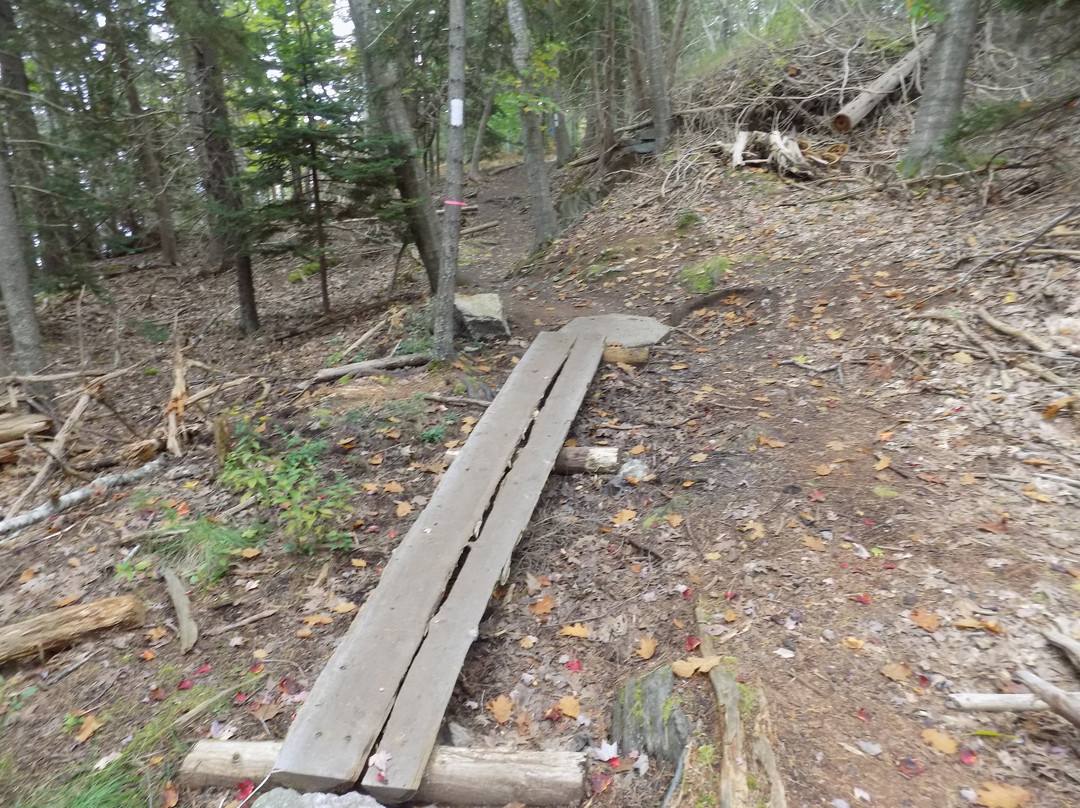 Devil’s Back Trail-奥尔岛必去景点