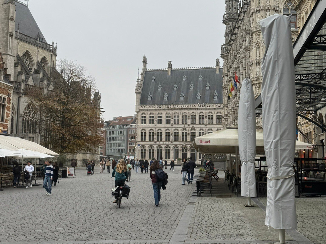 Great Market Square (Grote Markt)-鲁汶必去景点