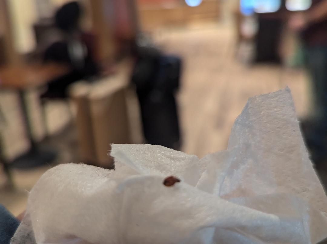 TownePlace Suites by Marriott Columbia West/Lexington主图