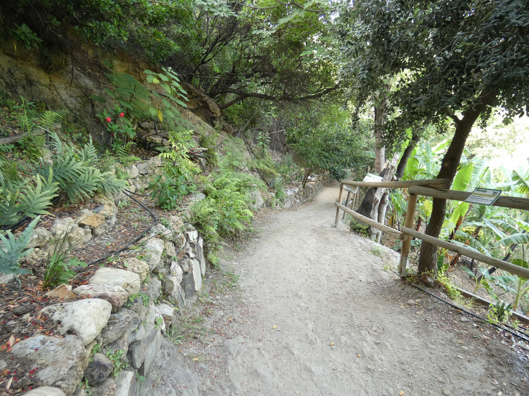 Botanical Park & Gardens of Crete景点图片