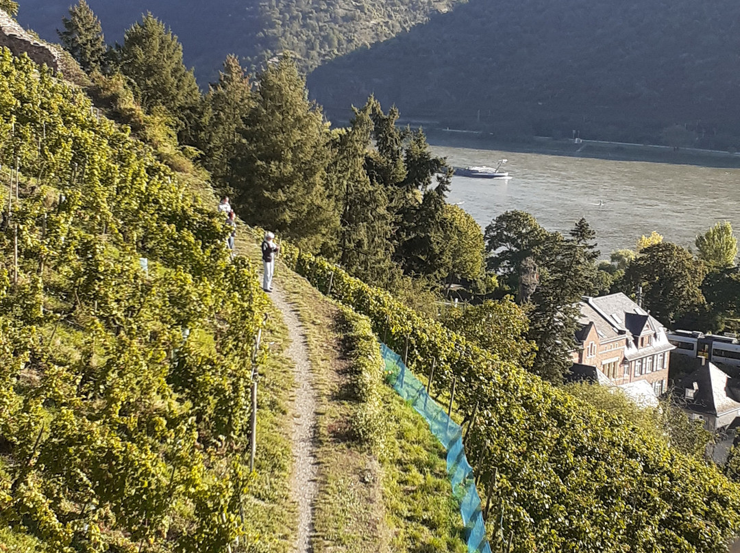 Postenturm-巴哈拉赫必去景点