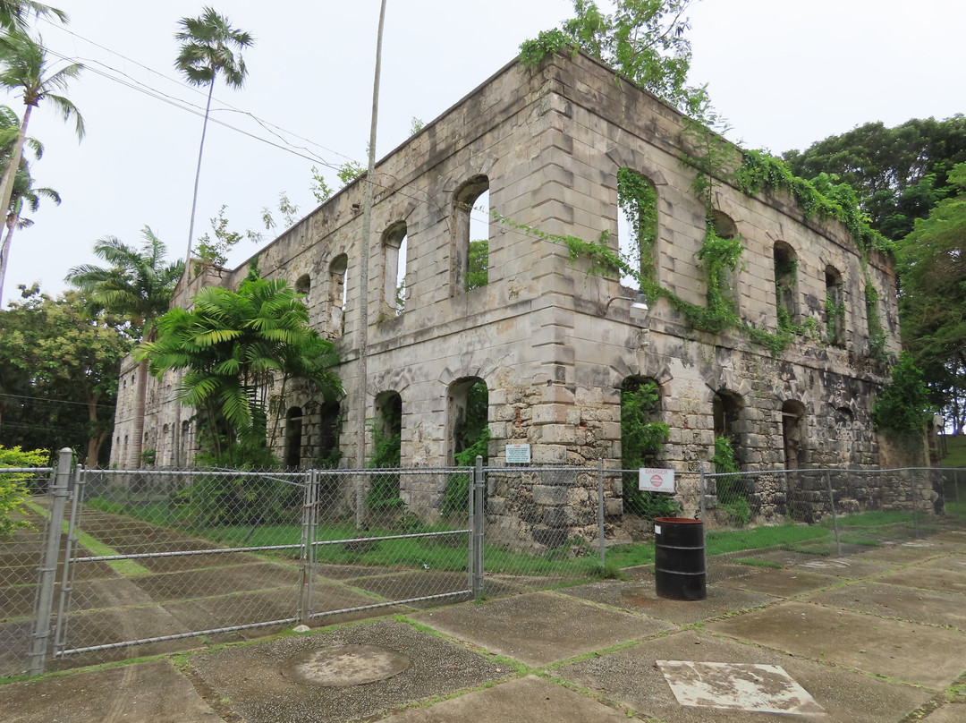 Farley Hill National Park-Saint Peter Parish必去景点