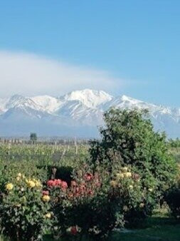 Casa De Huespedes Finca La Azul主图