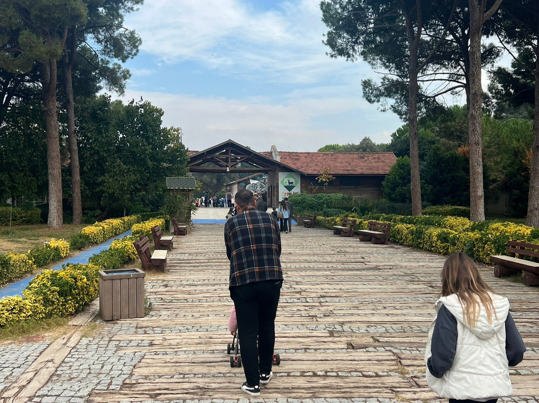 Izmir Wild Life Park景点图片