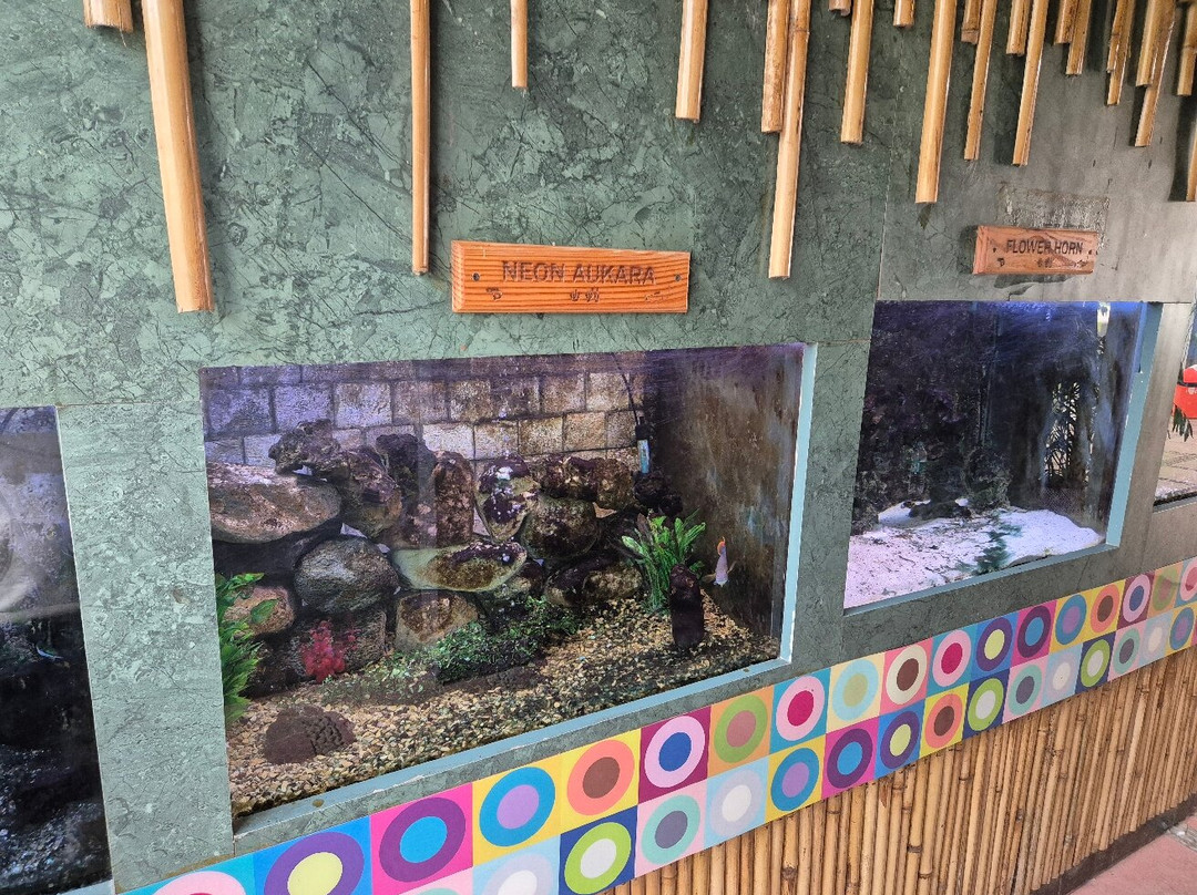 Aquarium Island Cafe Bhimtal-Bhimtal必去景点