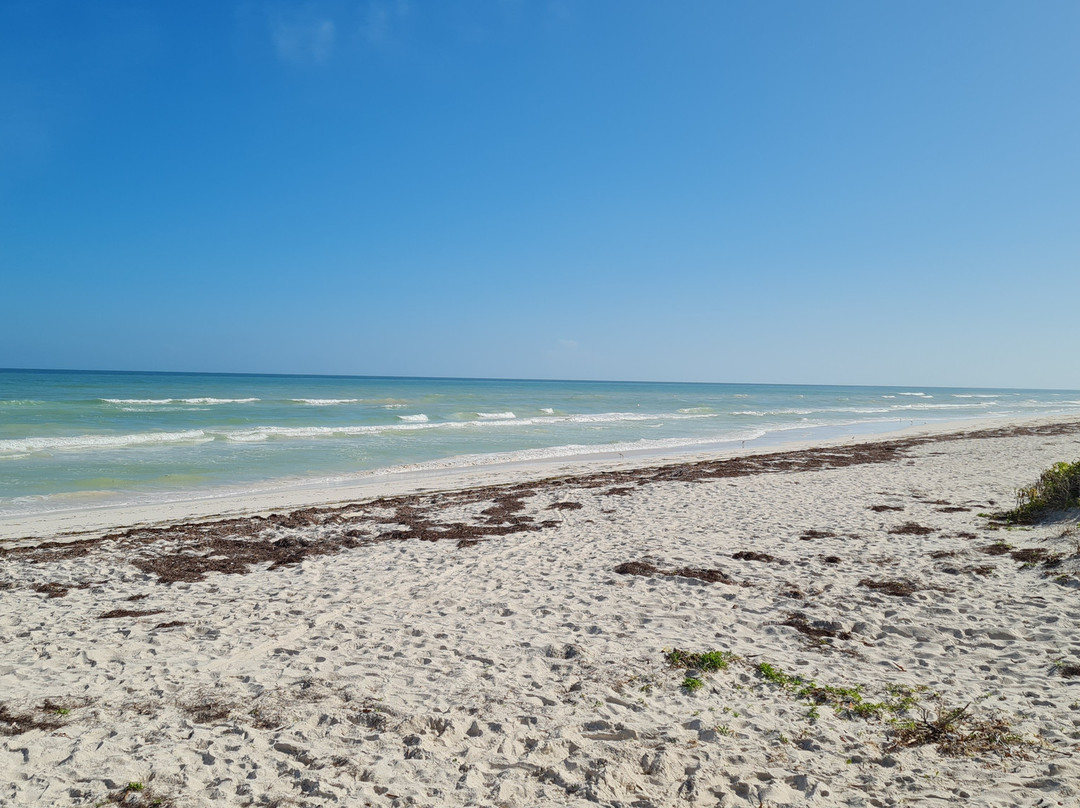 Casa Mia El Cuyo Eco Beach Boutique主图