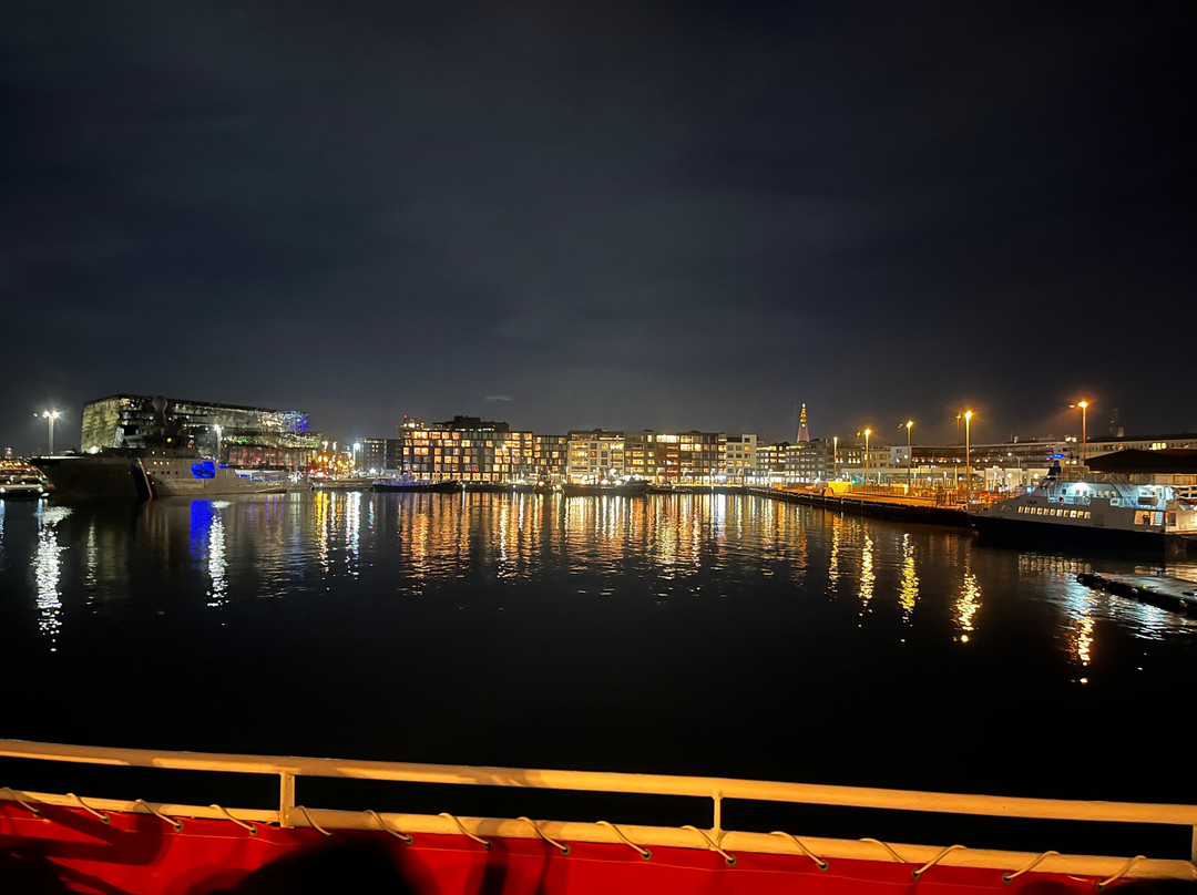 Elding Adventure At Sea - Reykjavik-雷克雅未克必去景点