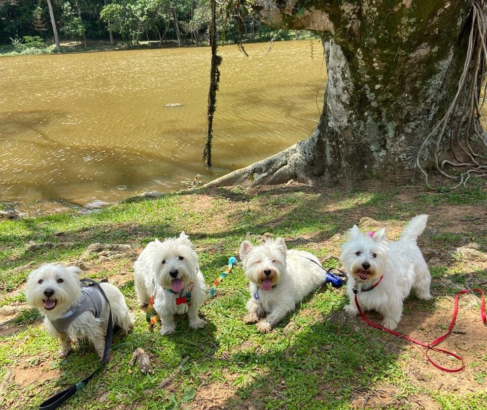 Fazenda Nossa Senhora da Conceicao-容迪亚伊必去景点