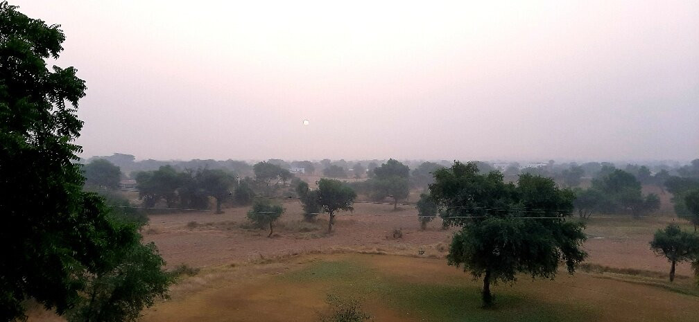 The Desert Resort主图