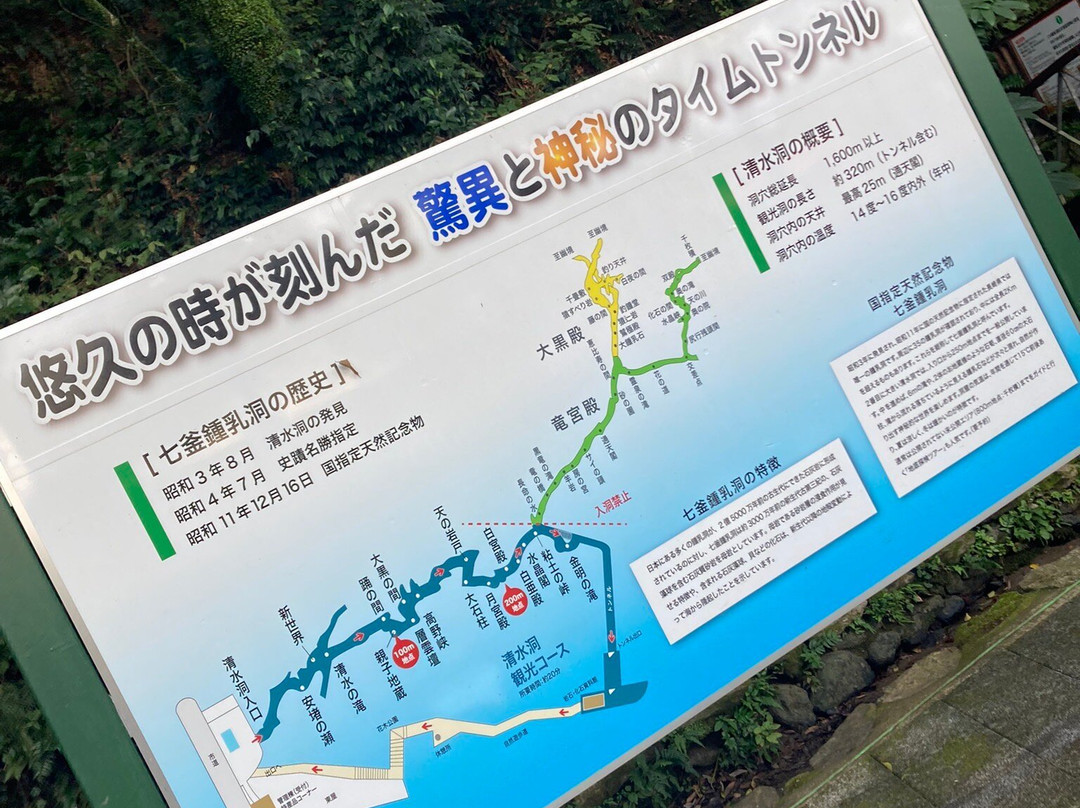 Nanatsugama Limestone Cave-西海市必去景点