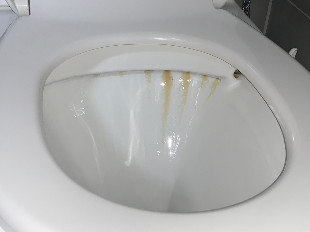 Szent Orban Erdei Hotel主图