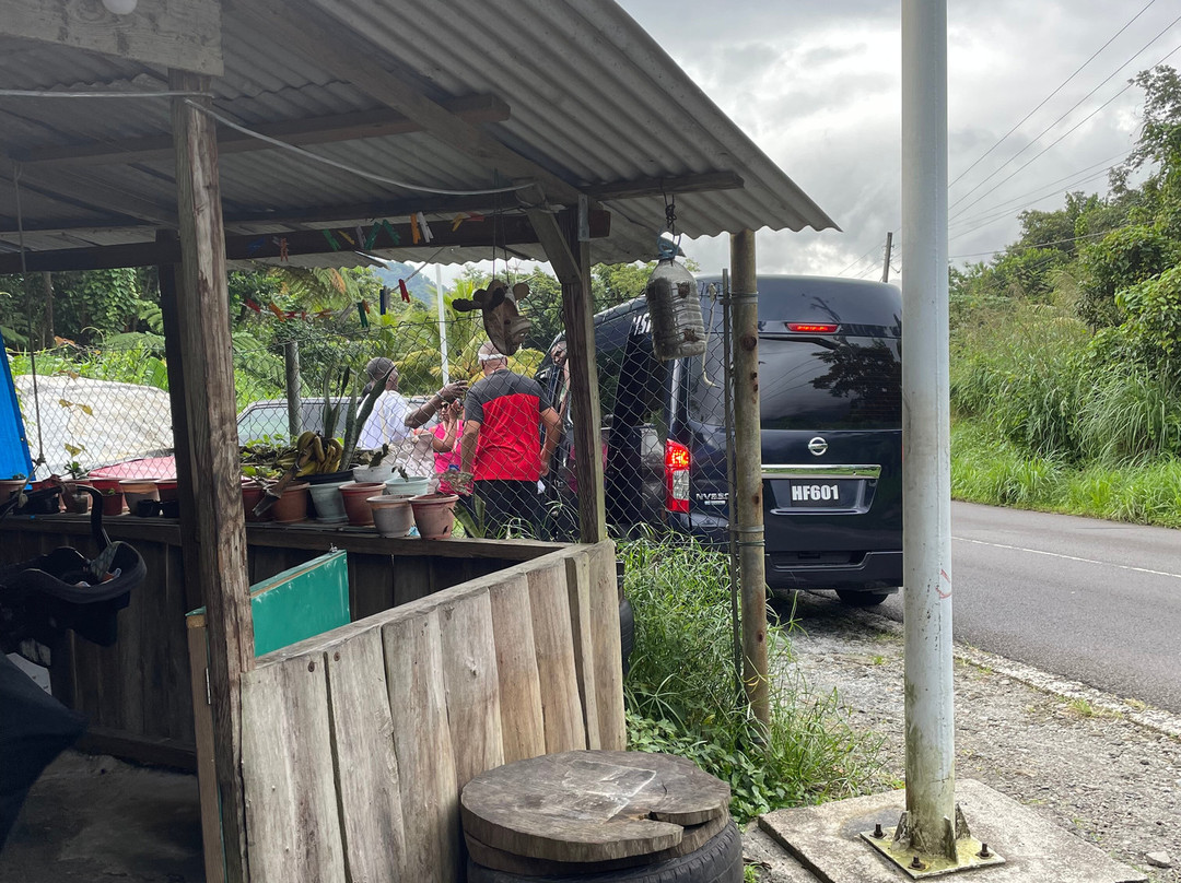 Ricky'sToursVoyage&Services-罗索必去景点