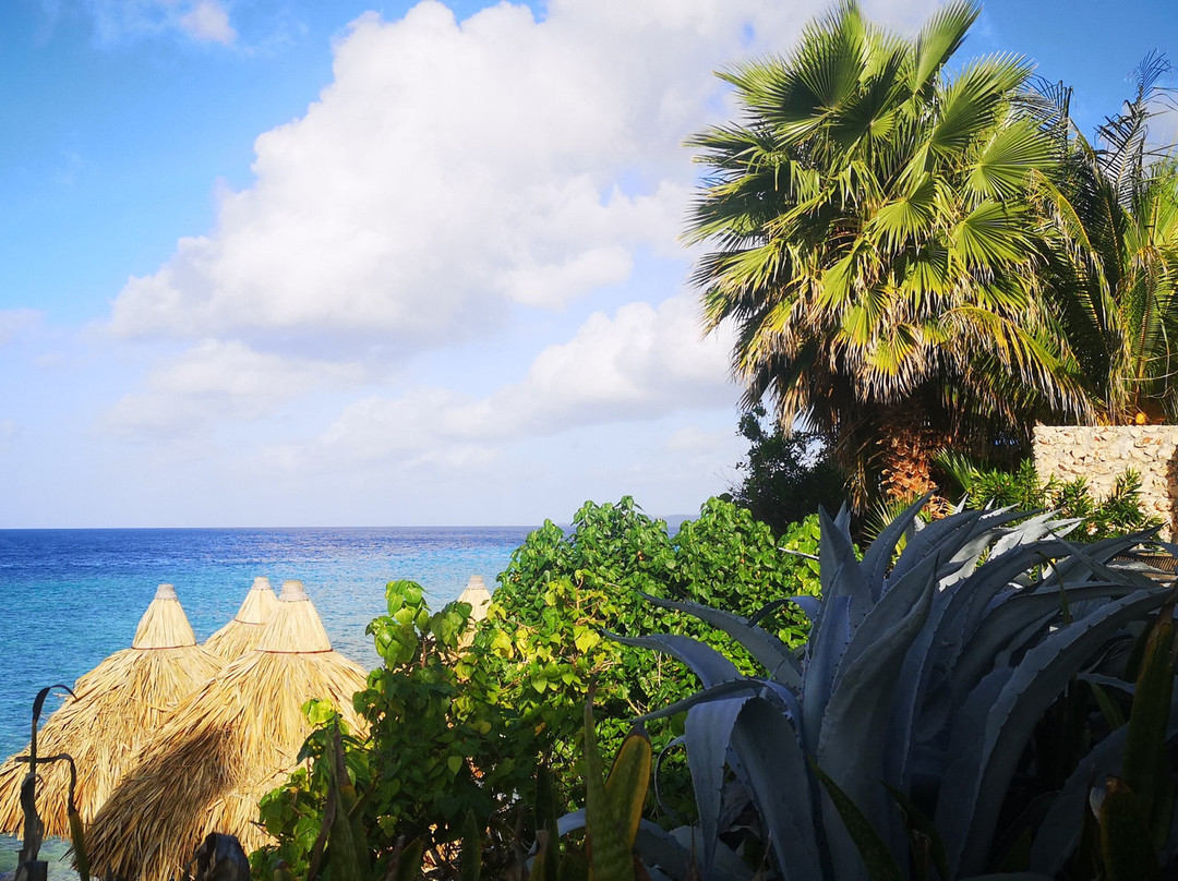 Waterside Apartments主图