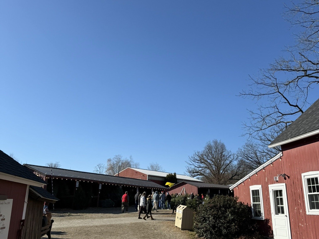 Jones Family Farm-谢尔顿必去景点