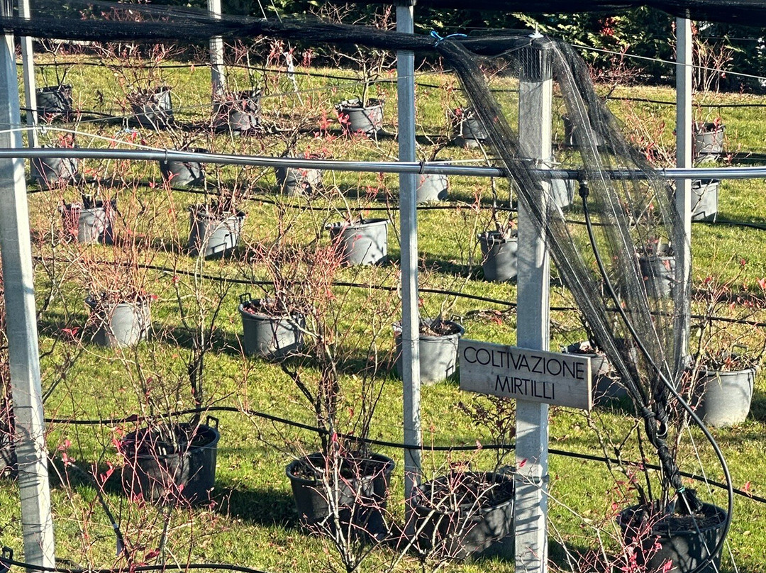 Agriturismo La Giasena主图