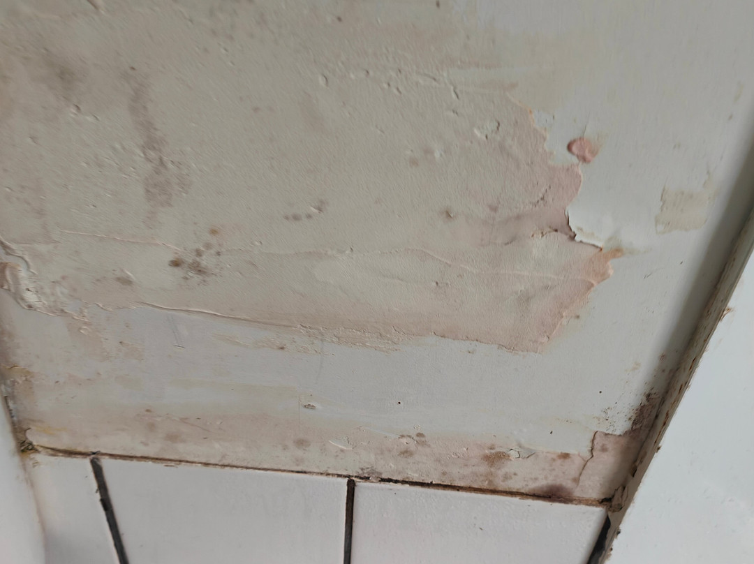 Champers Motor Inn主图