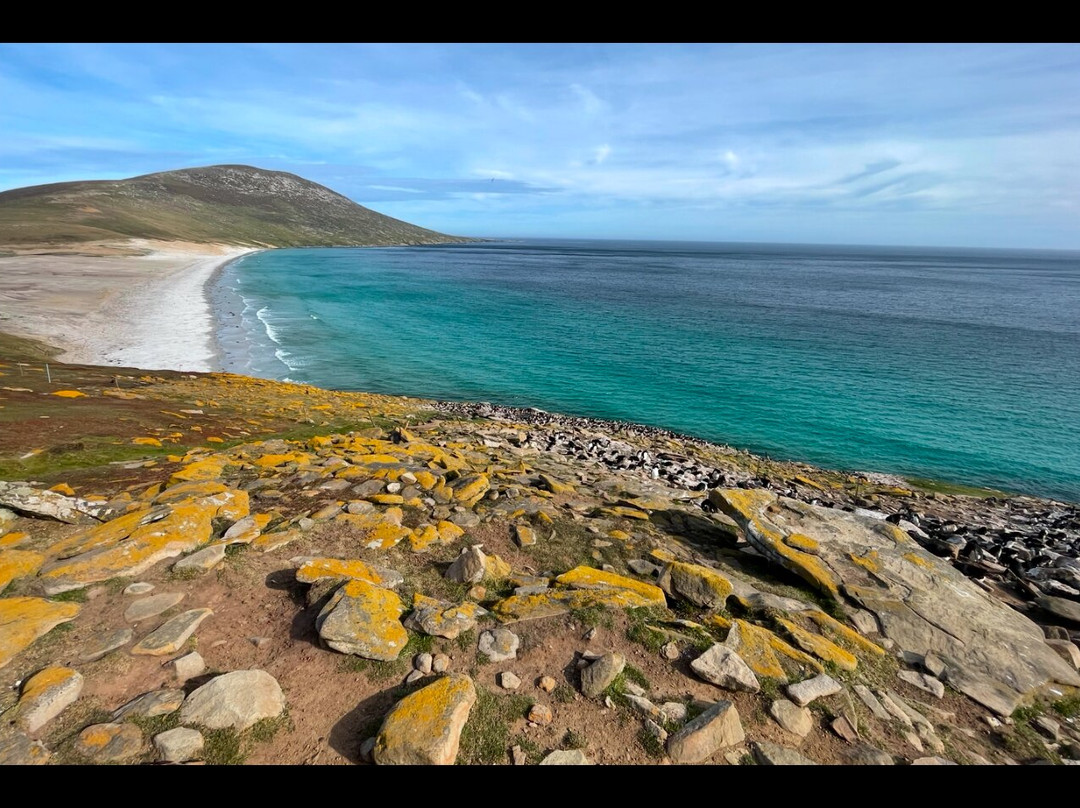 Saunders Island景点图片