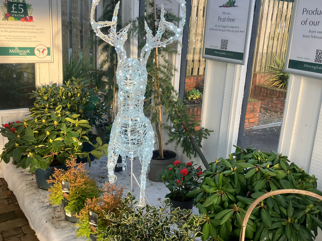 Millbrook Garden Centre景点图片