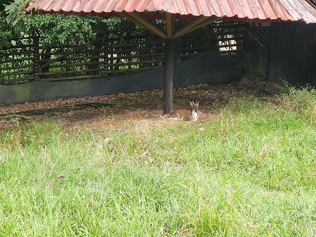 Bioparque Los Ocarros-比亚维森西奥必去景点