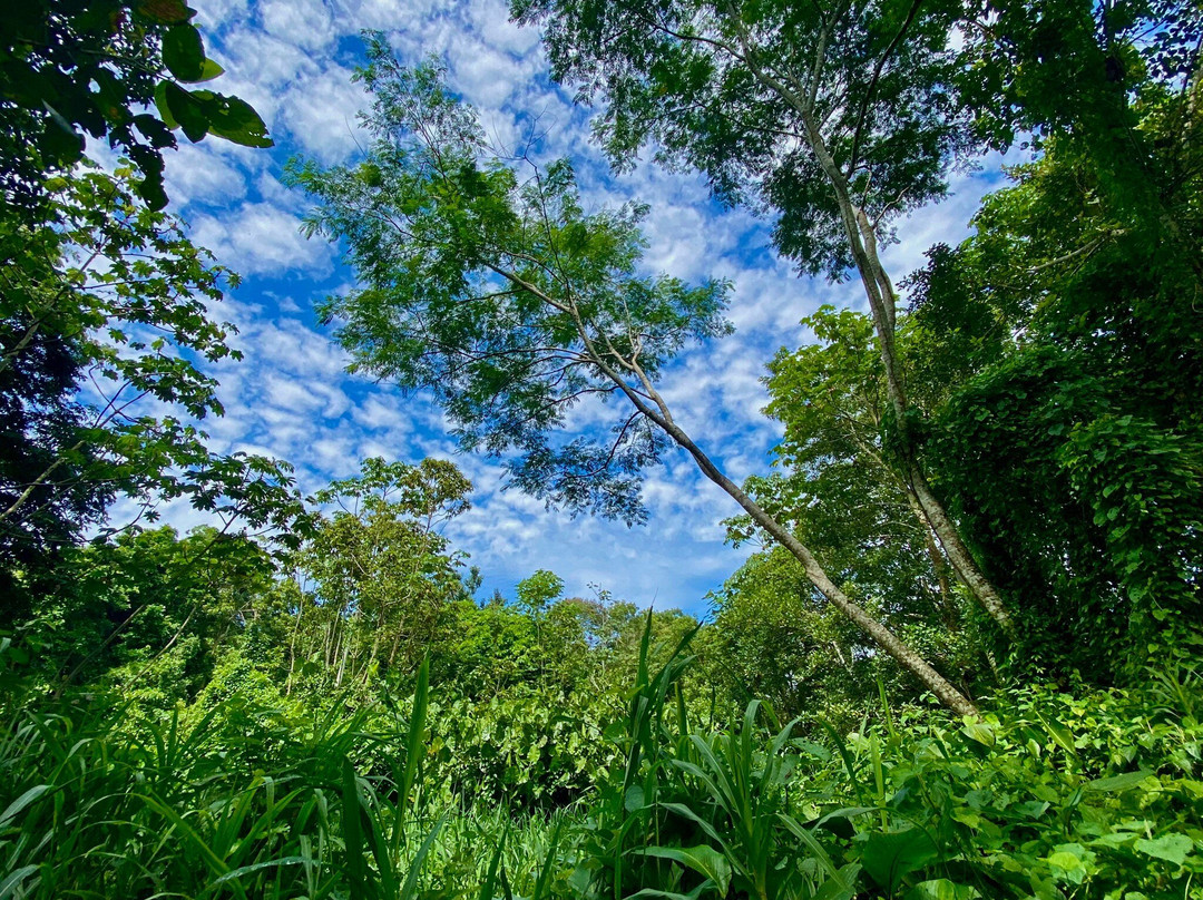 Amazon Jungle Johnny Tours景点图片