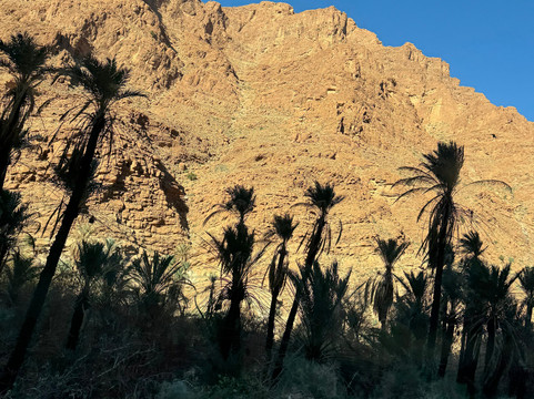 Yi Xiang Ren Infinity-马拉喀什必去景点